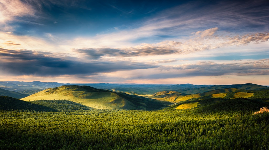 Mongolia, UN-REDD's first non-tropical country, develops its national Forest Reference Level