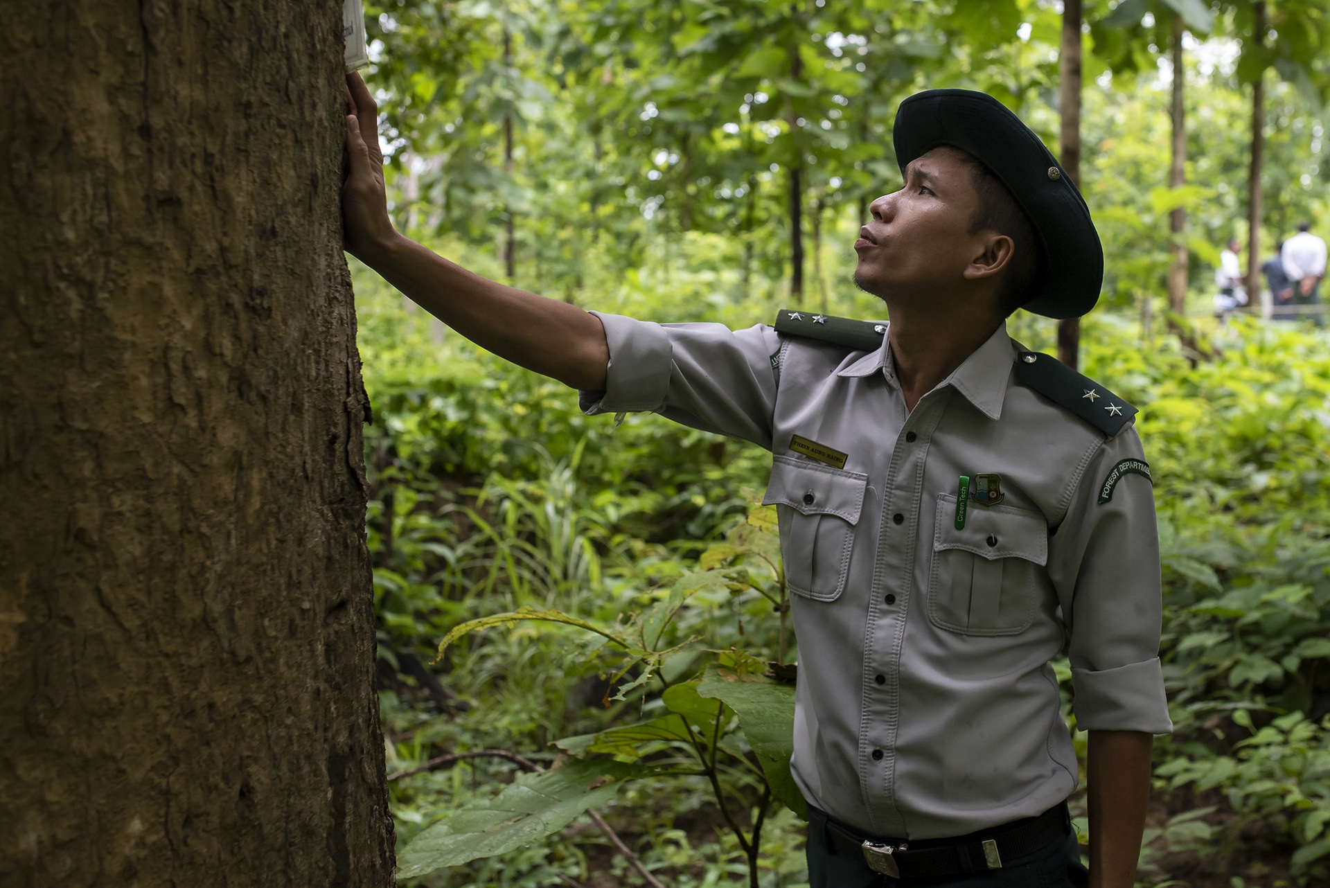  Working Together to Save Myanmar’s Forests