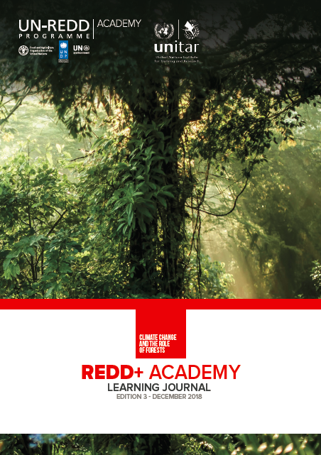 Enroll for the REDD+ Academy Now!