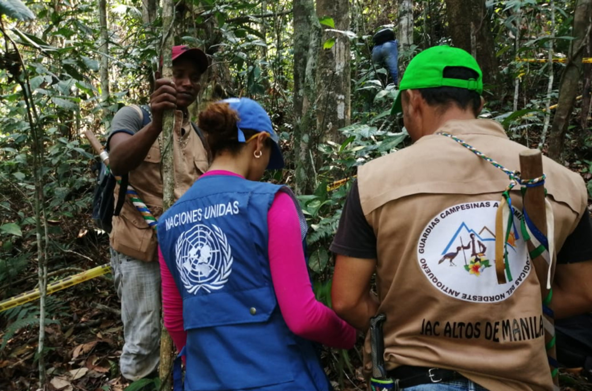 Establishment of temporal plots for forest inventory in the municipality of Remedios, Antioquia