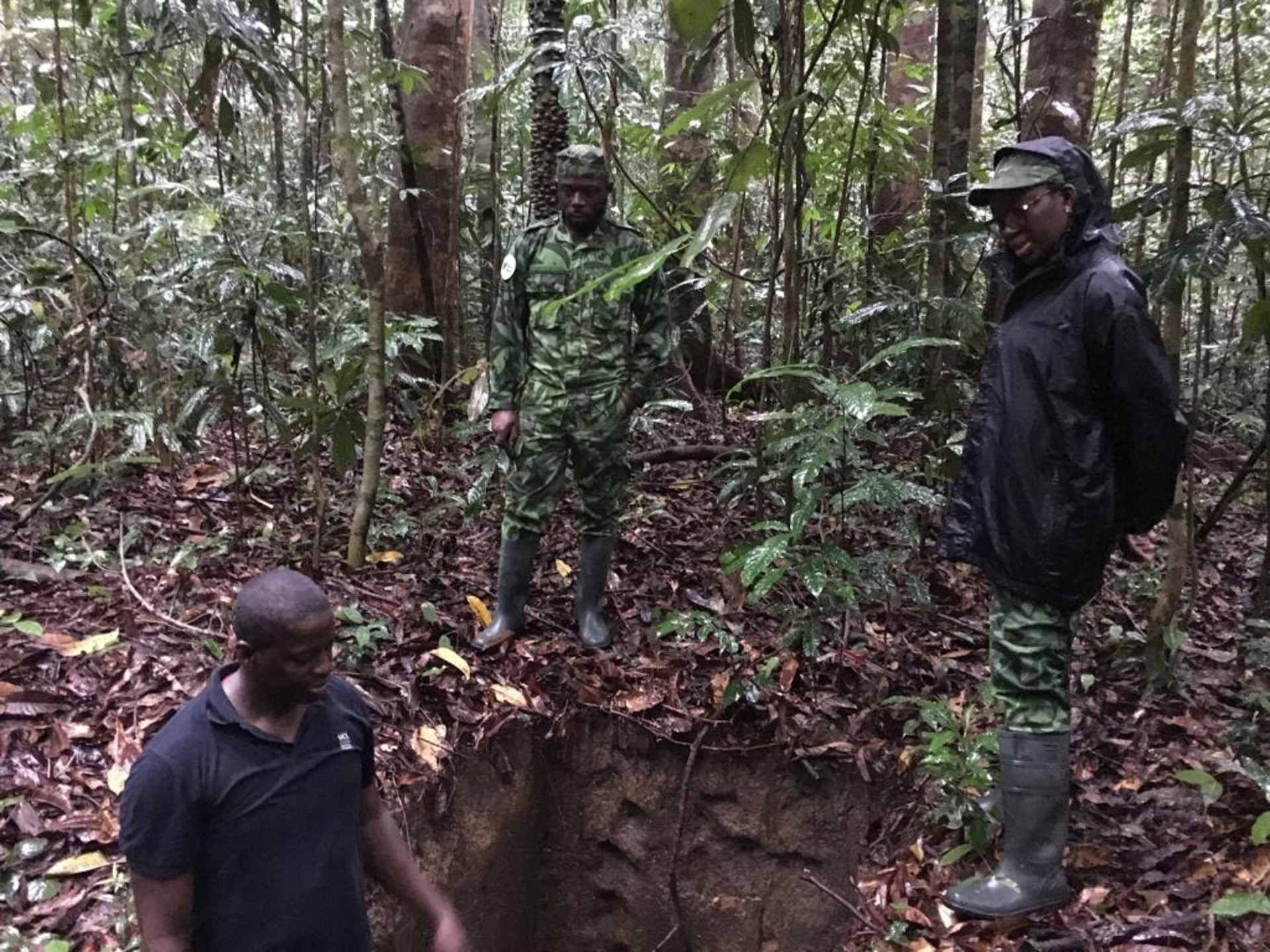 CAFI Dialogues Photo - Members of Gabon's National Agency for Nature measuring carbon in trees litter soil and underground biomass
