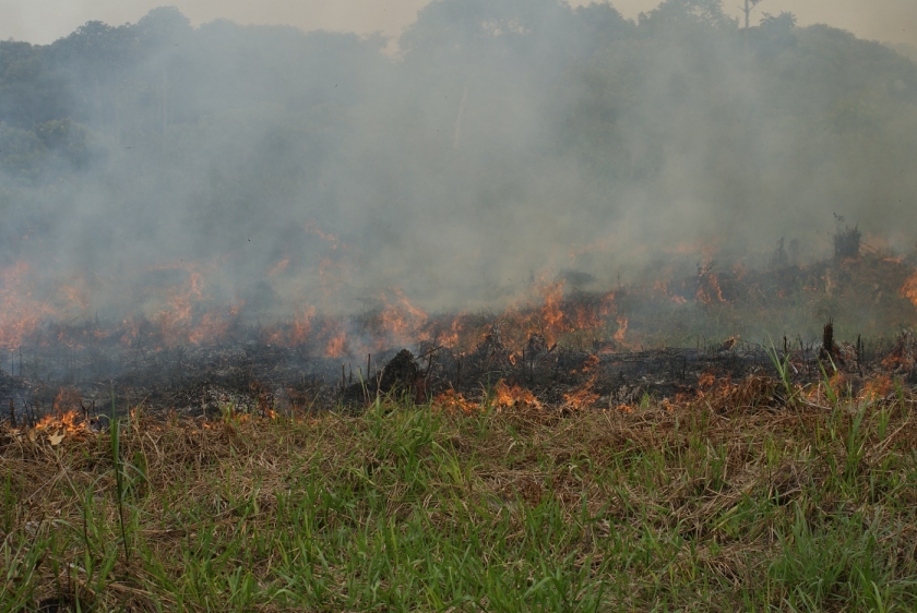 ​​Peatland fires and the resulting air pollution are a worry to local people and neighbouring states. The approaching dry season is usually the highest-risk time for wildfire spread