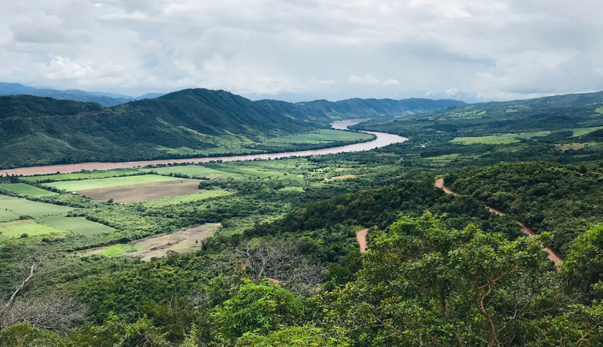 The Amazon rainforest in San Martin, Peru where the key, permanent crops are coffee and cocoa. In 2017, deforestation reached 155.914 hectares, with 60% of deforestation taking place in Ucayali, Madre de Dios, Huánuco and Loreto.