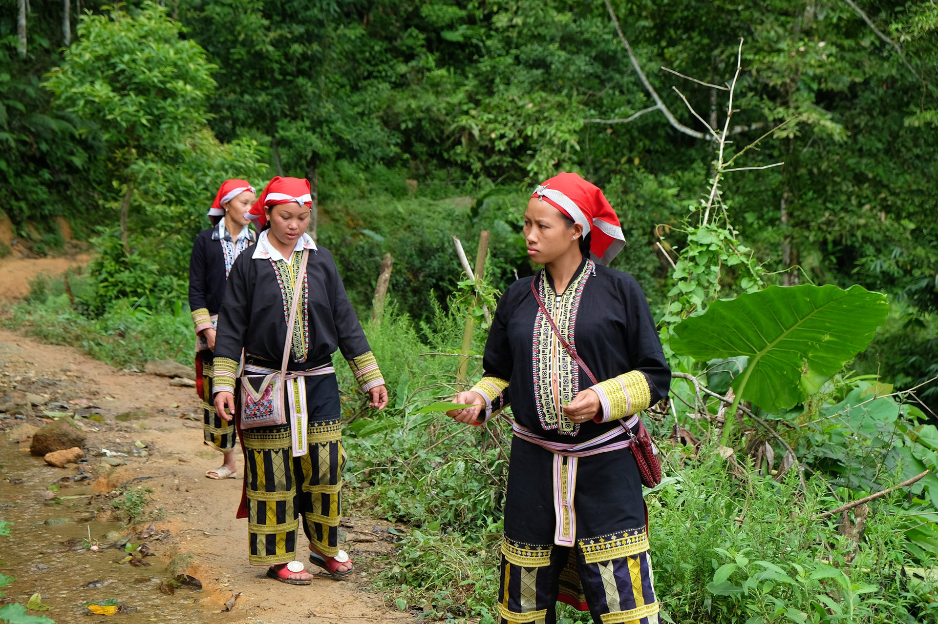 Members of the ethnic Dao minority in Vietnam