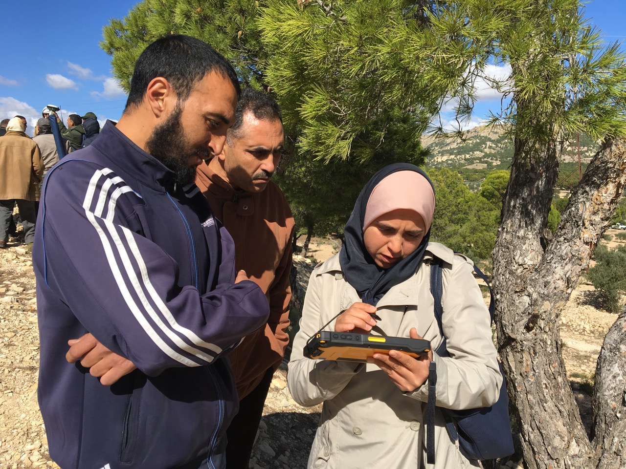 A forestry officer in Tunisia gathers data on forest tenure rights in Siliana Governorate