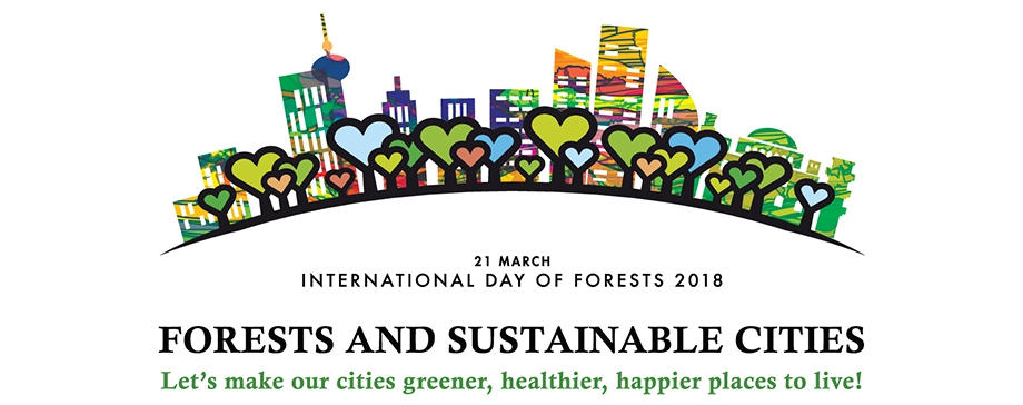 Global partnerships can preserve forests and create sustainable cities