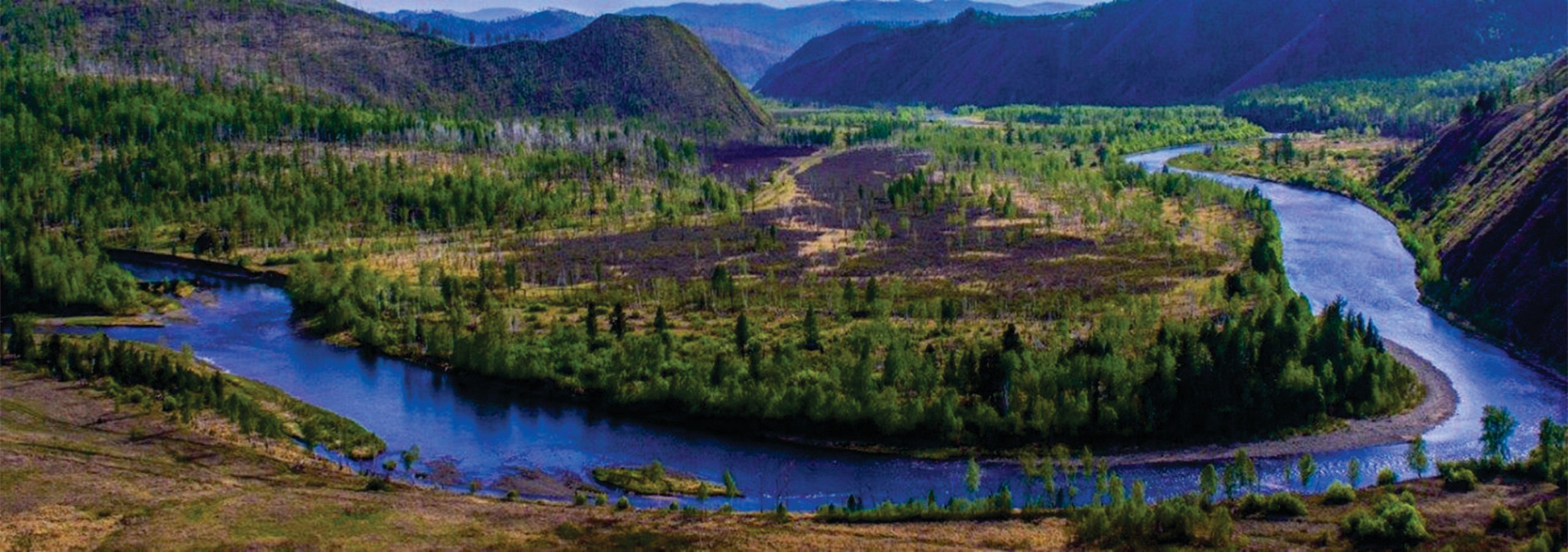 Recognising the value of Mongolia’s boreal forests