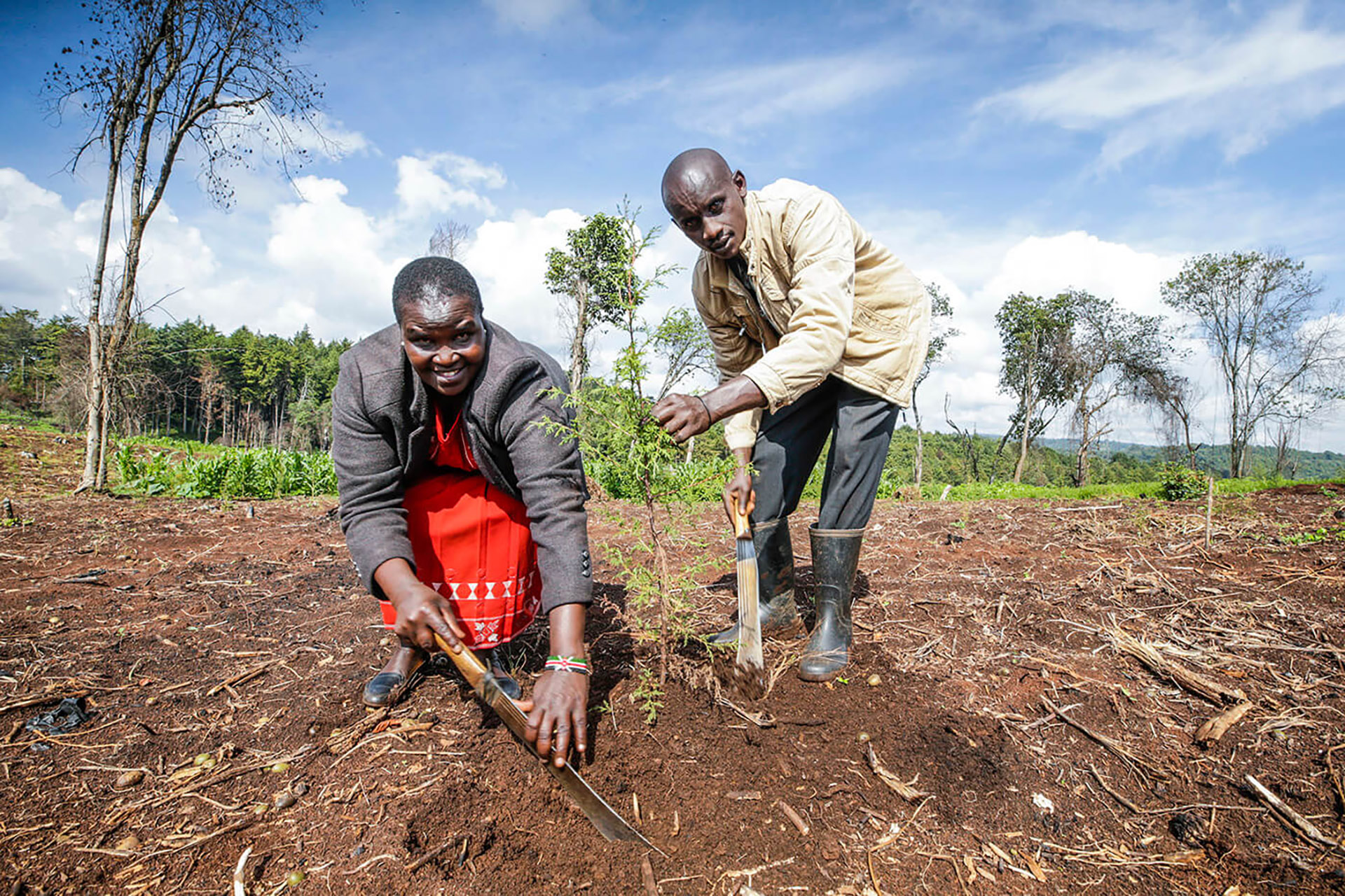  Kenya: Managing Forests through Community Participation