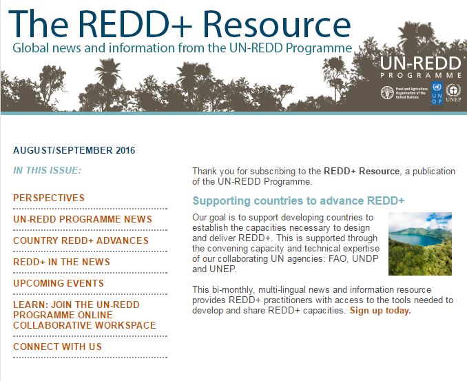 New issue of the REDD+ Resource now available!