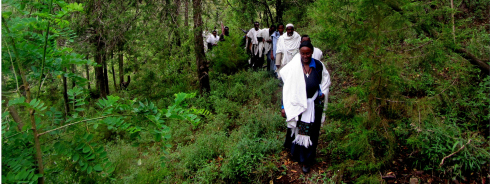UN-REDD Programme study highlights significant economic contribution of forests to Ethiopia’s Gross
