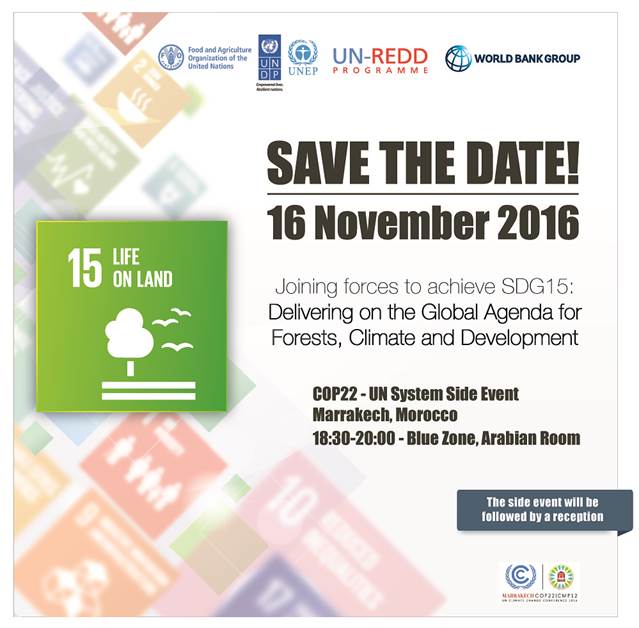 Save the Date: COP22 Side Event 'Joining forces to achieve SDG15: Delivering on the Global Agend