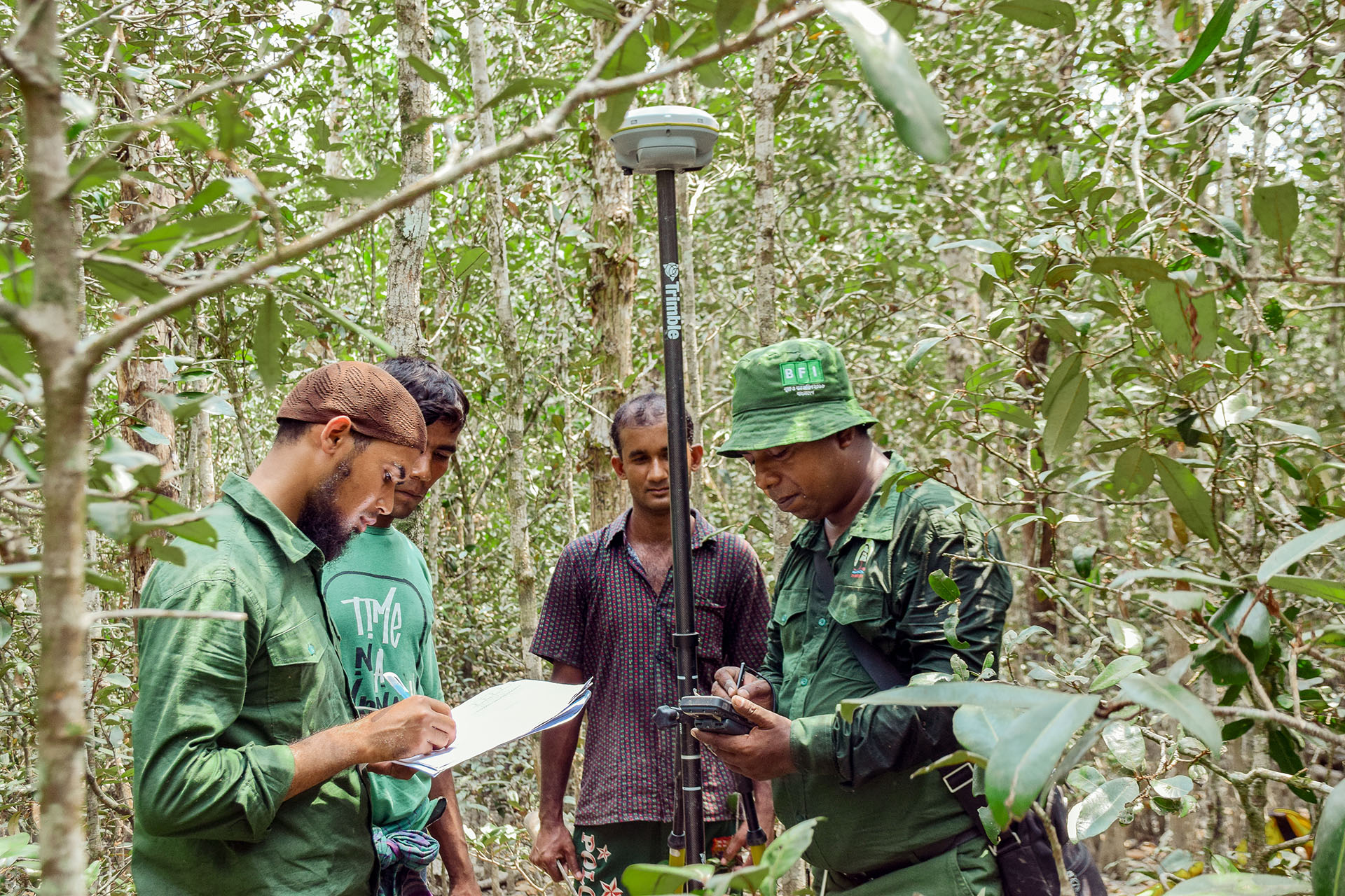 Forest monitoring