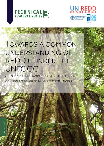New Publication: Towards a Common Understanding of REDD+ under the UNFCCC