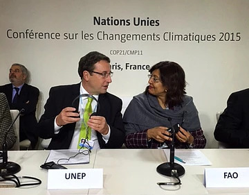 UN Global Climate Conference: REDD+ leaders reiterate value of UN-REDD Programme and role of forests