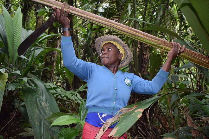 Participatory Forest Monitoring in Colombia: Empowering Local Communities