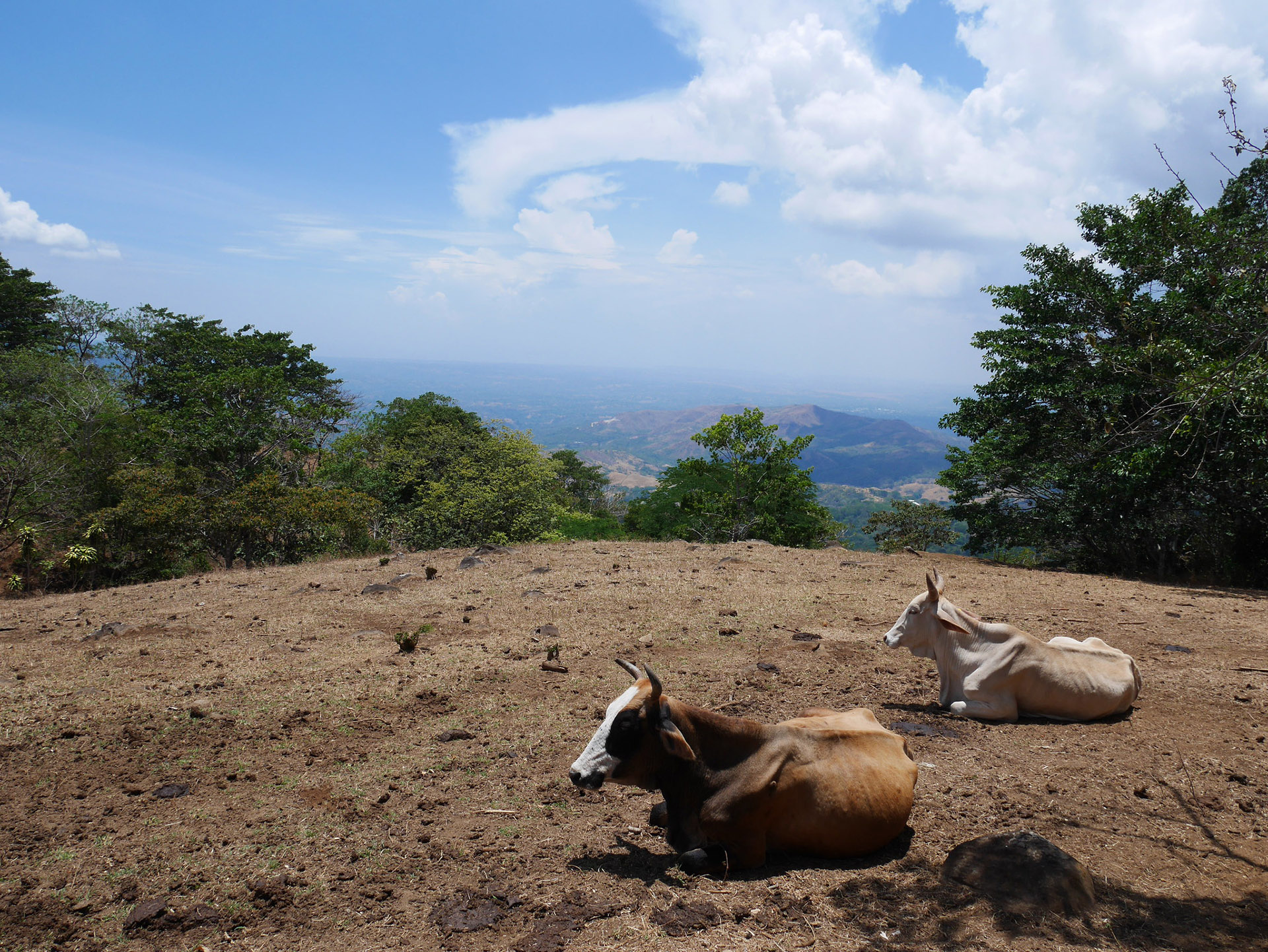 Sustainable livestock can stimulate conservation, facilitate governance and alleviate poverty 
