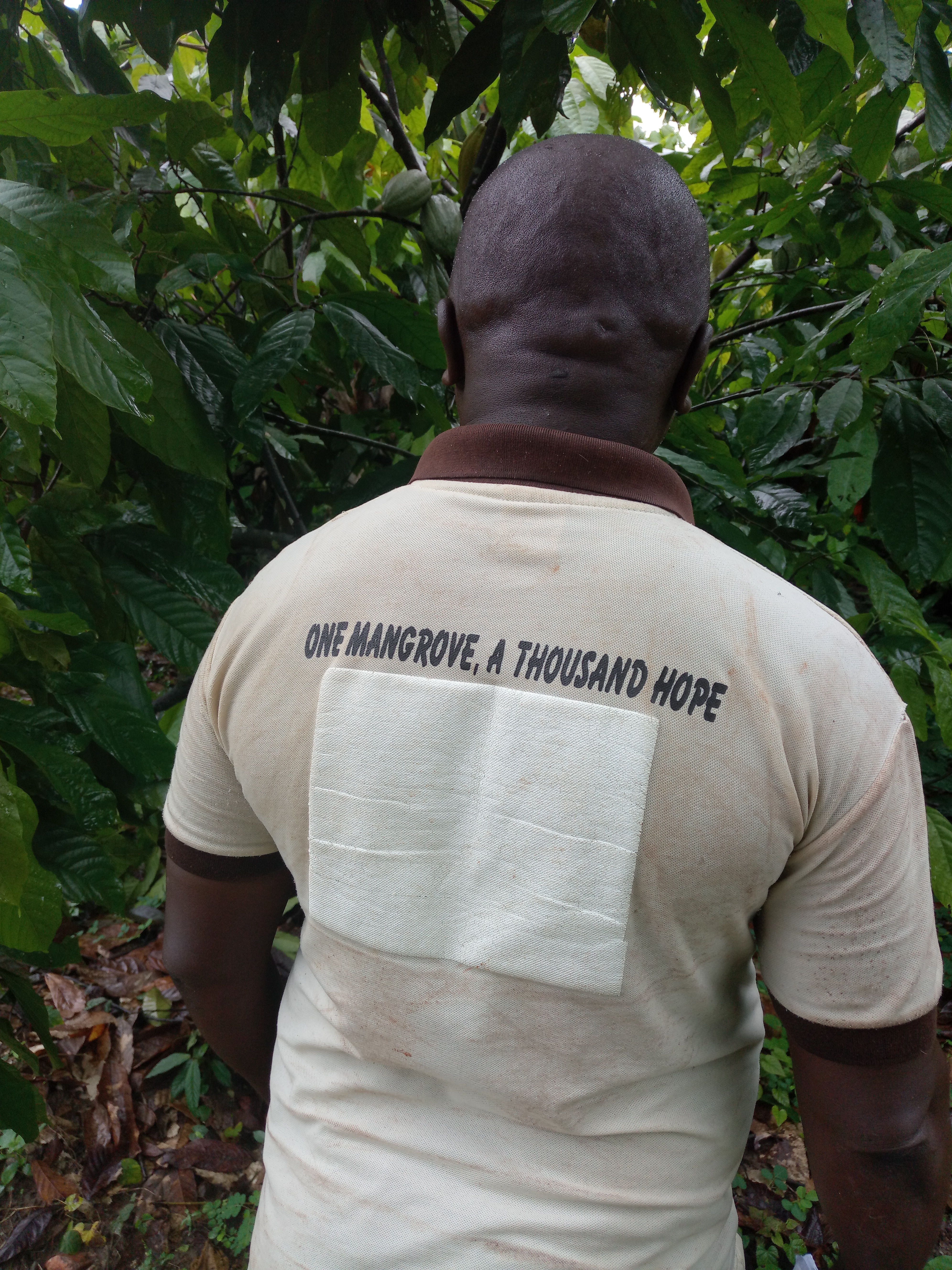 &quot;One mangrove, a thousand hopes&quot;- mangrove rehabilitation in Nigeria