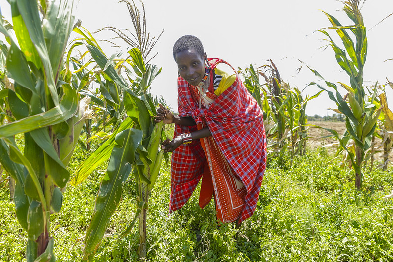 Kibarisho Leintoi working on her field in Kenya