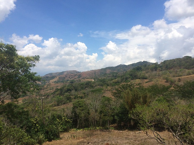   Reforestation in the region of Puriscal, Costa Rica