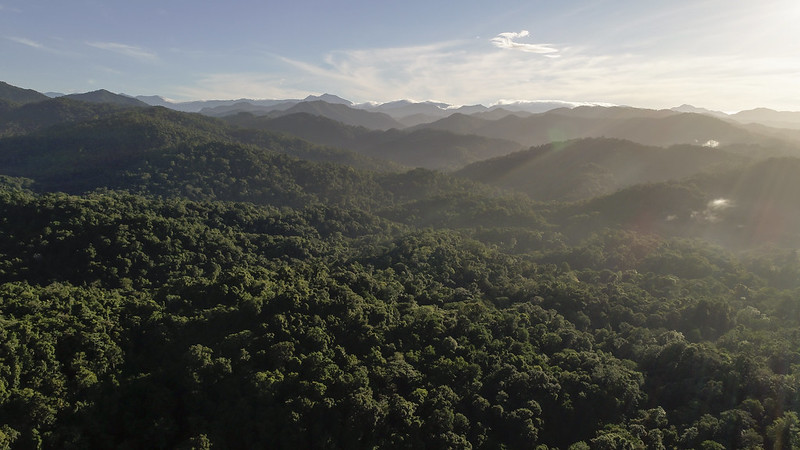 Aerial views over mountains and forests in Papua New Guinea.