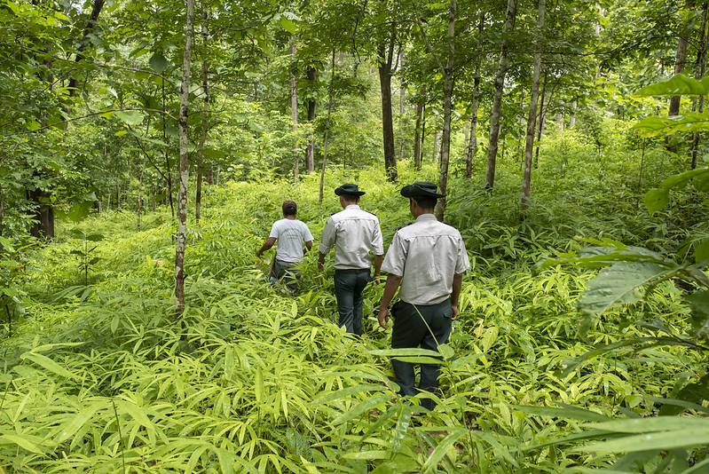 Forest rangers monitoring Kha Baung Protected Public Forest, Taung-Oo, Myanmar.