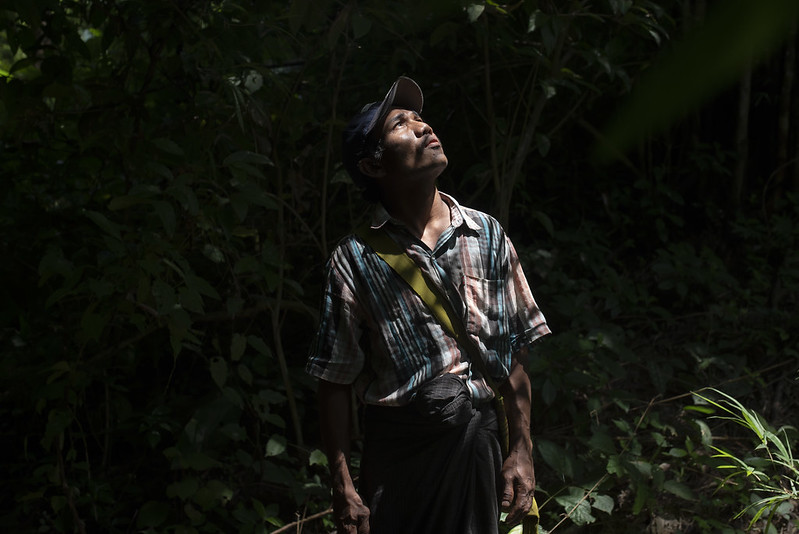 Mr. Nyien Thein, 66, depends on the nearby forest for his livelihood.