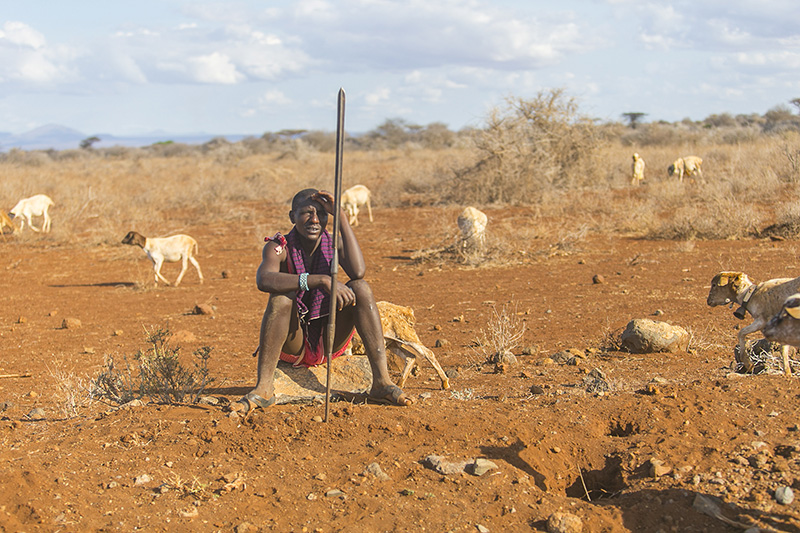   The area is very arid.