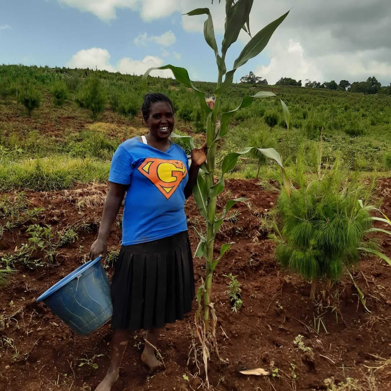 Purity Chelmo plants maize and trees in the same field