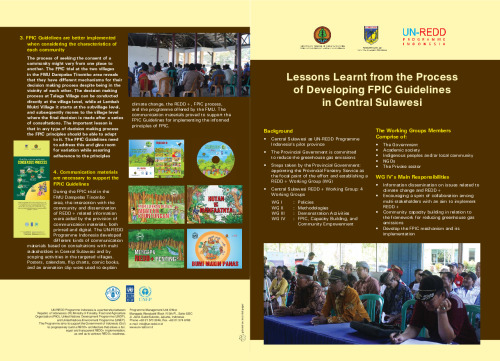 Lessons Learnt from the Process of Developing FPIC Guidelines in ...