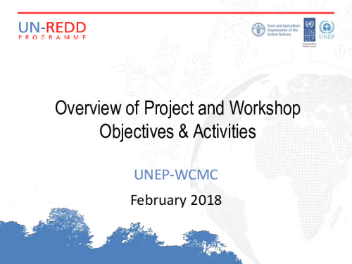 Overview of project and workshop objectives and activities | UNREDD ...