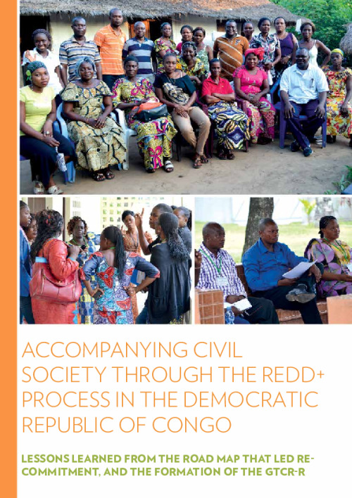 Accompanying Civil Society through the REDD+ Process in the Democratic ...