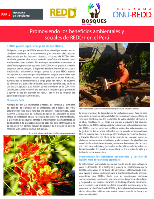 Promoviendo los beneficios ambientales y sociales de REDD+ en el Perú ...
