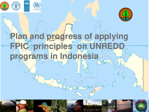 Plan and progress of applying FPIC principles on UNREDD programs in ...