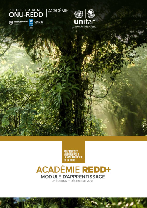 Les principes fondamentaux REDD+_ Module 4: Les politiques et mesures ...