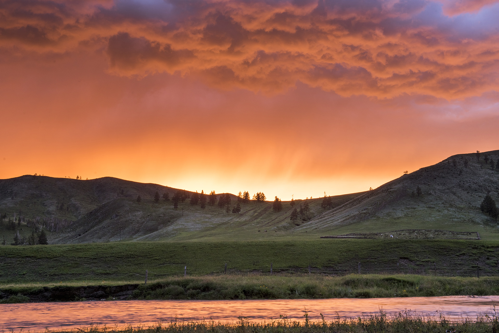 Mongolia, better forests depend on better livelihoods