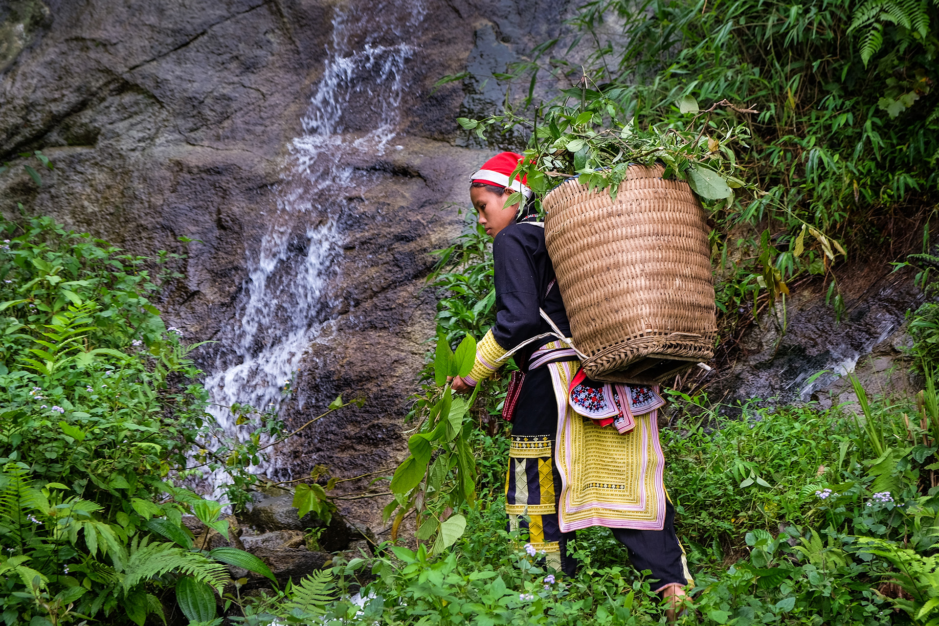 Viet Nam