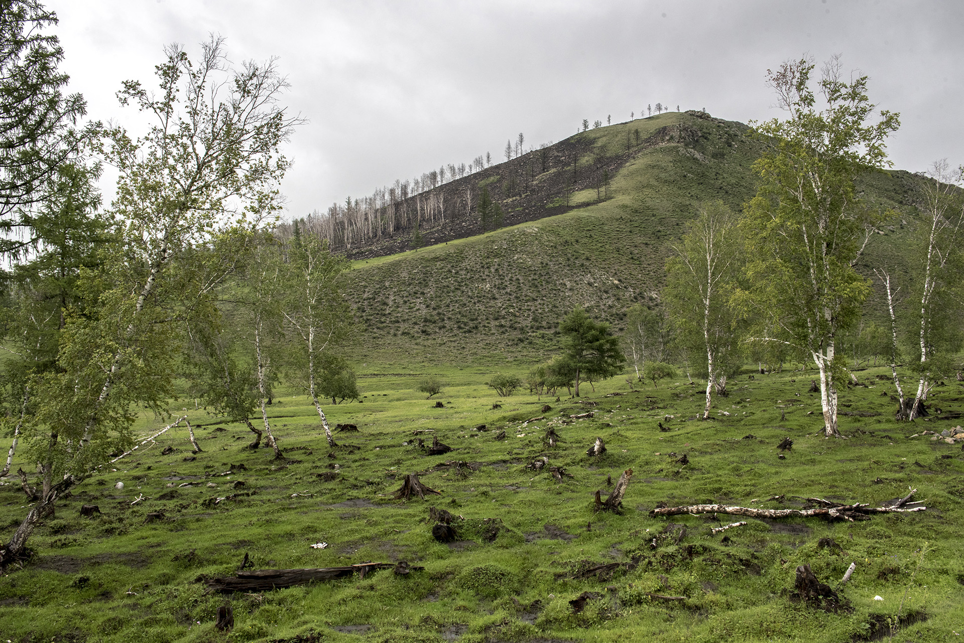 mongolia