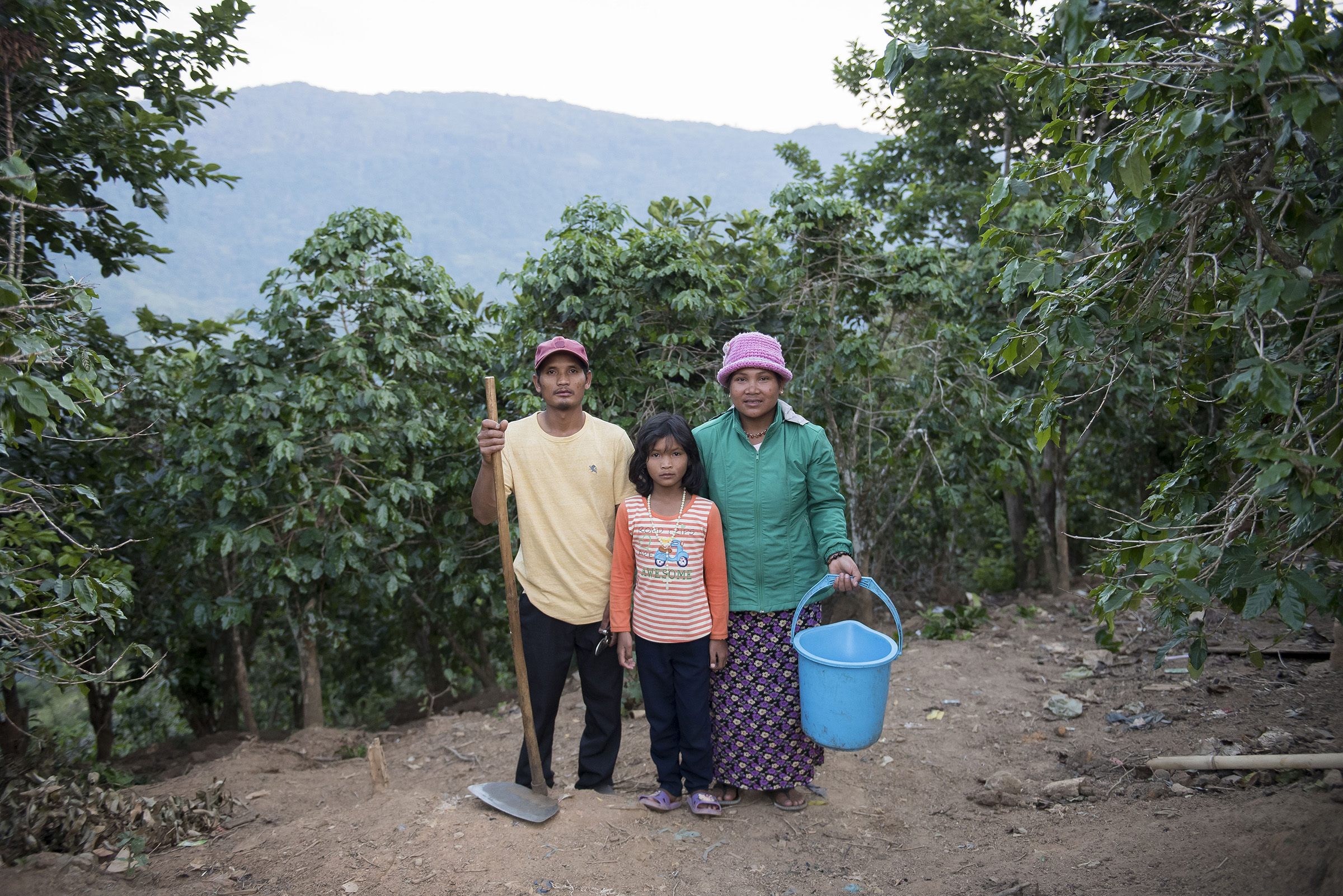 Forest positive agriculture & food systems