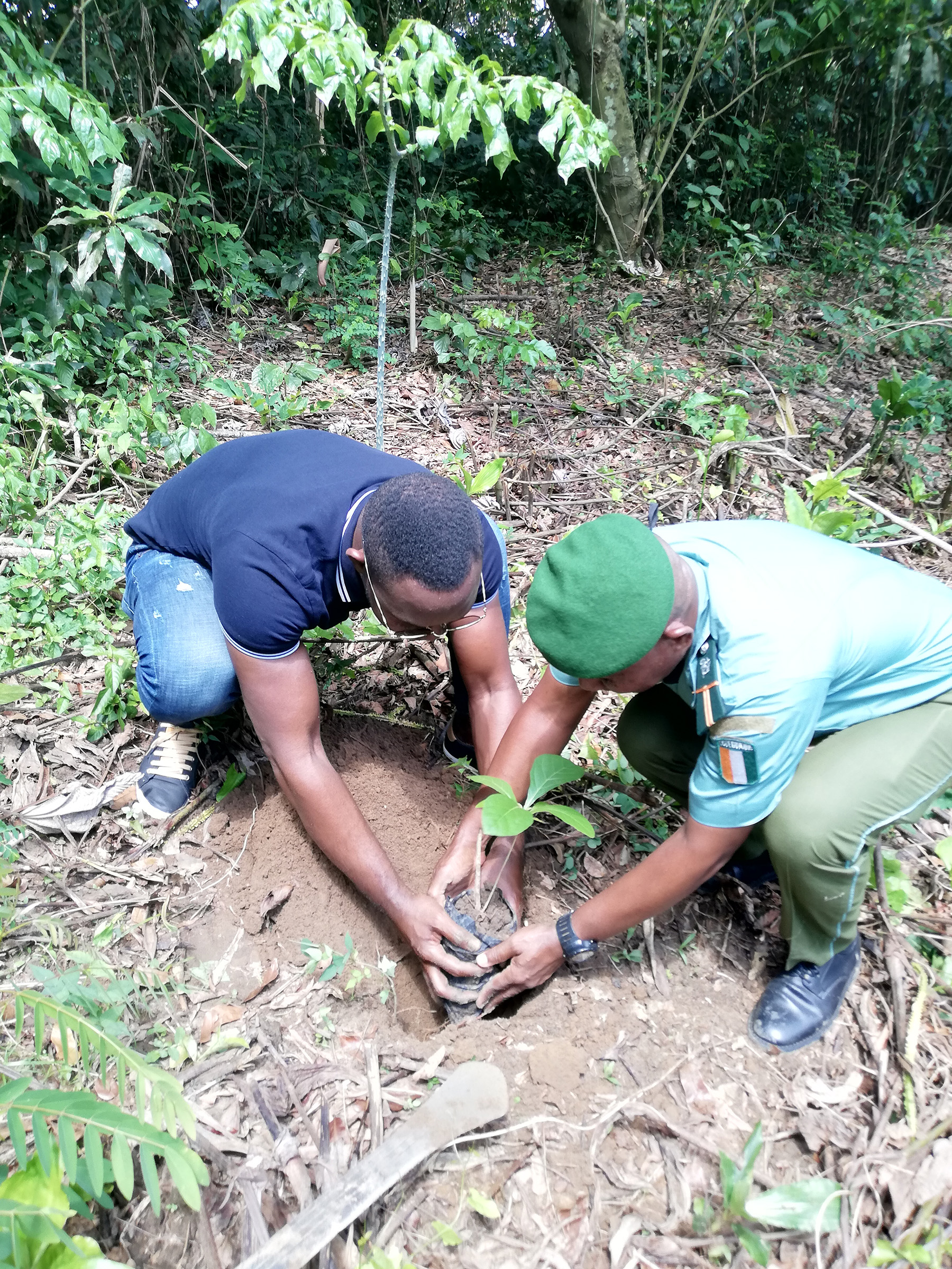 Laying the ground for landscape restoration in Côte d’Ivoire