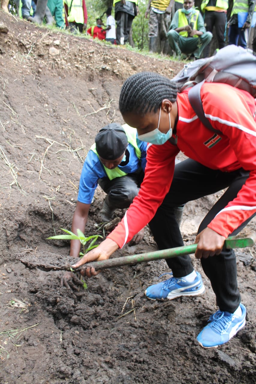 tree planting, Faith