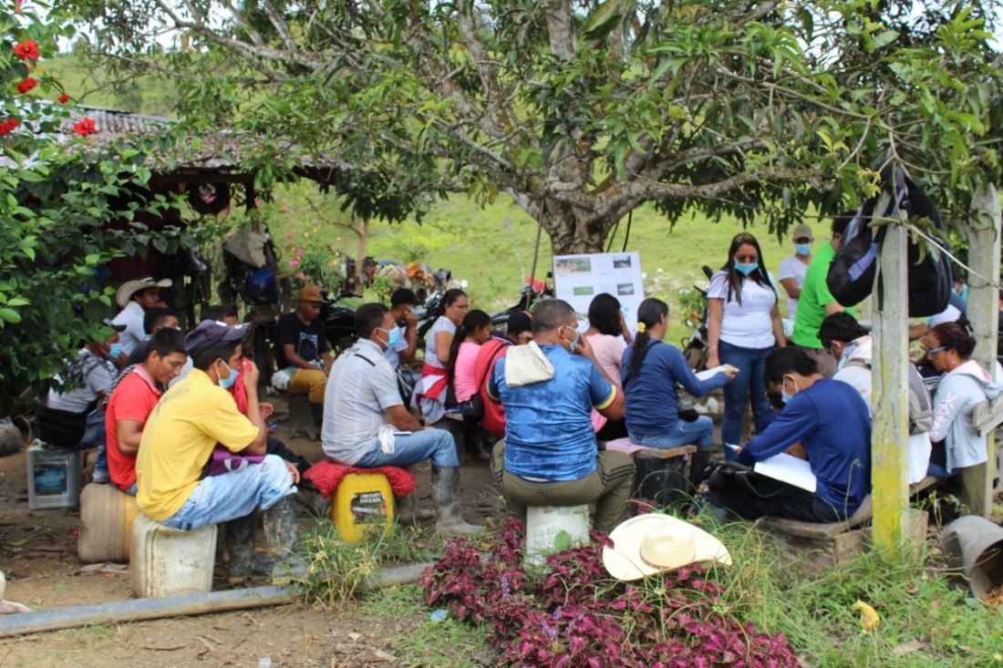 Ecoserrania - FAO project Colombia