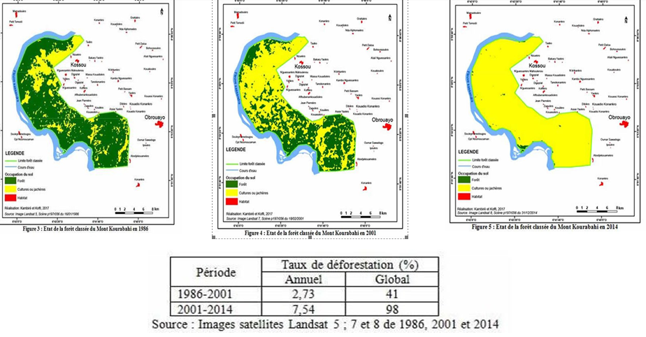 changes in forest 