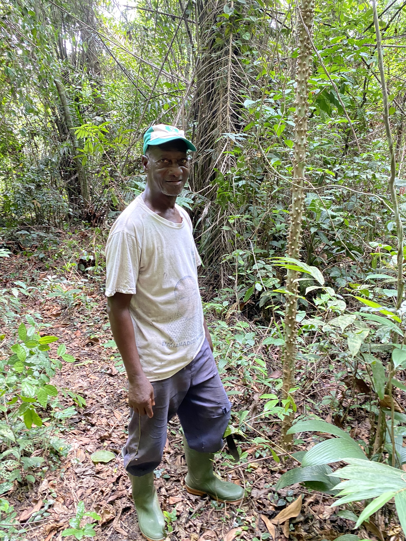 man in forest