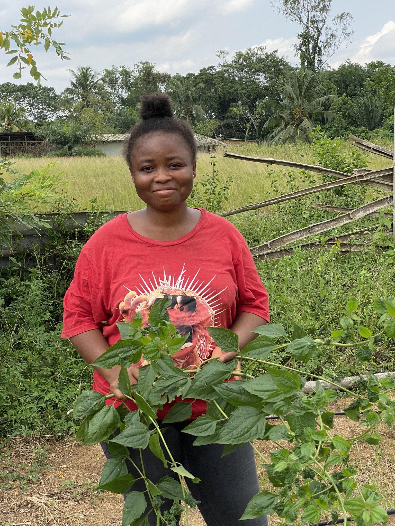 Woman planting seedlings