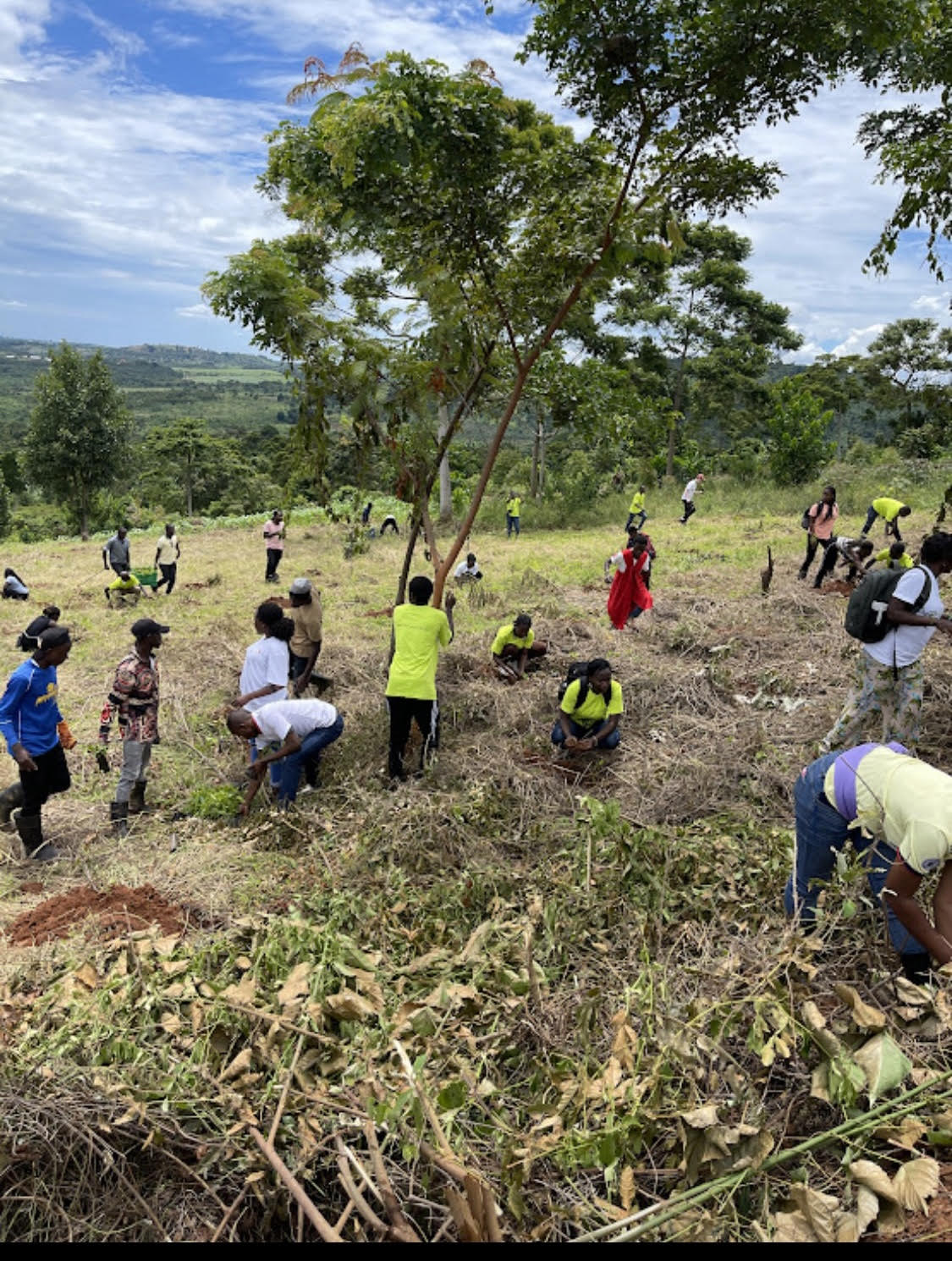 planting trees with Morris in Uganda