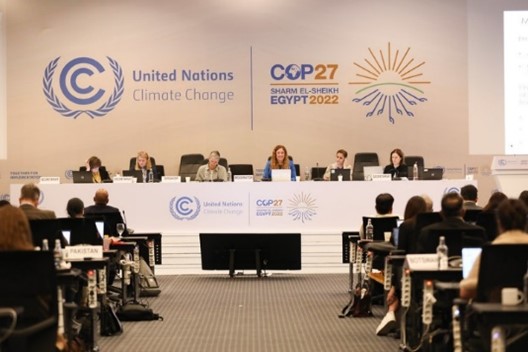 COP 27