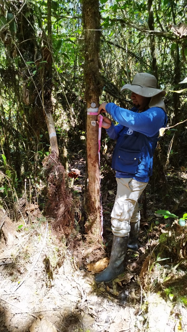 one man measuring NFI Colombia