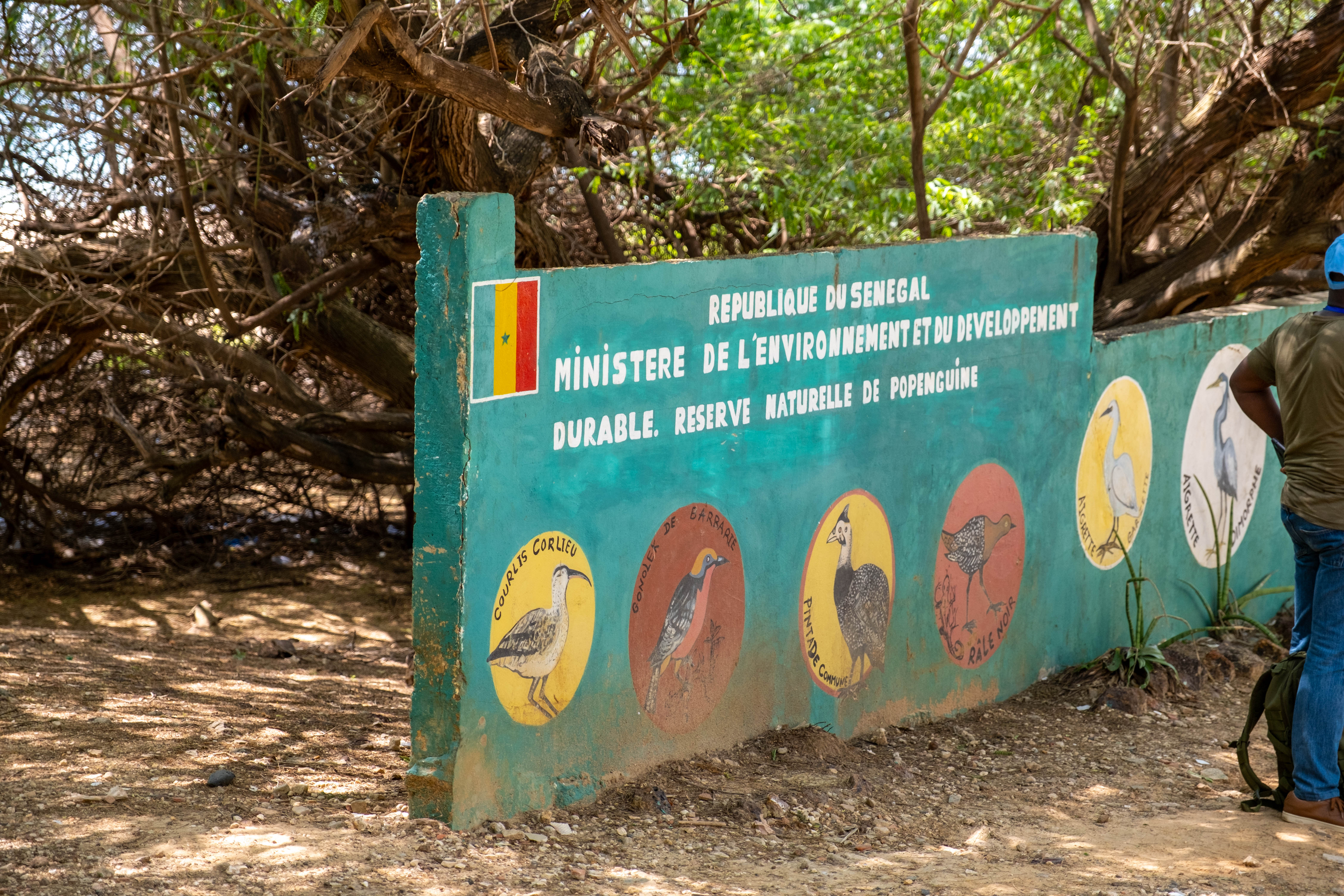 A board with pictures of wild birds
