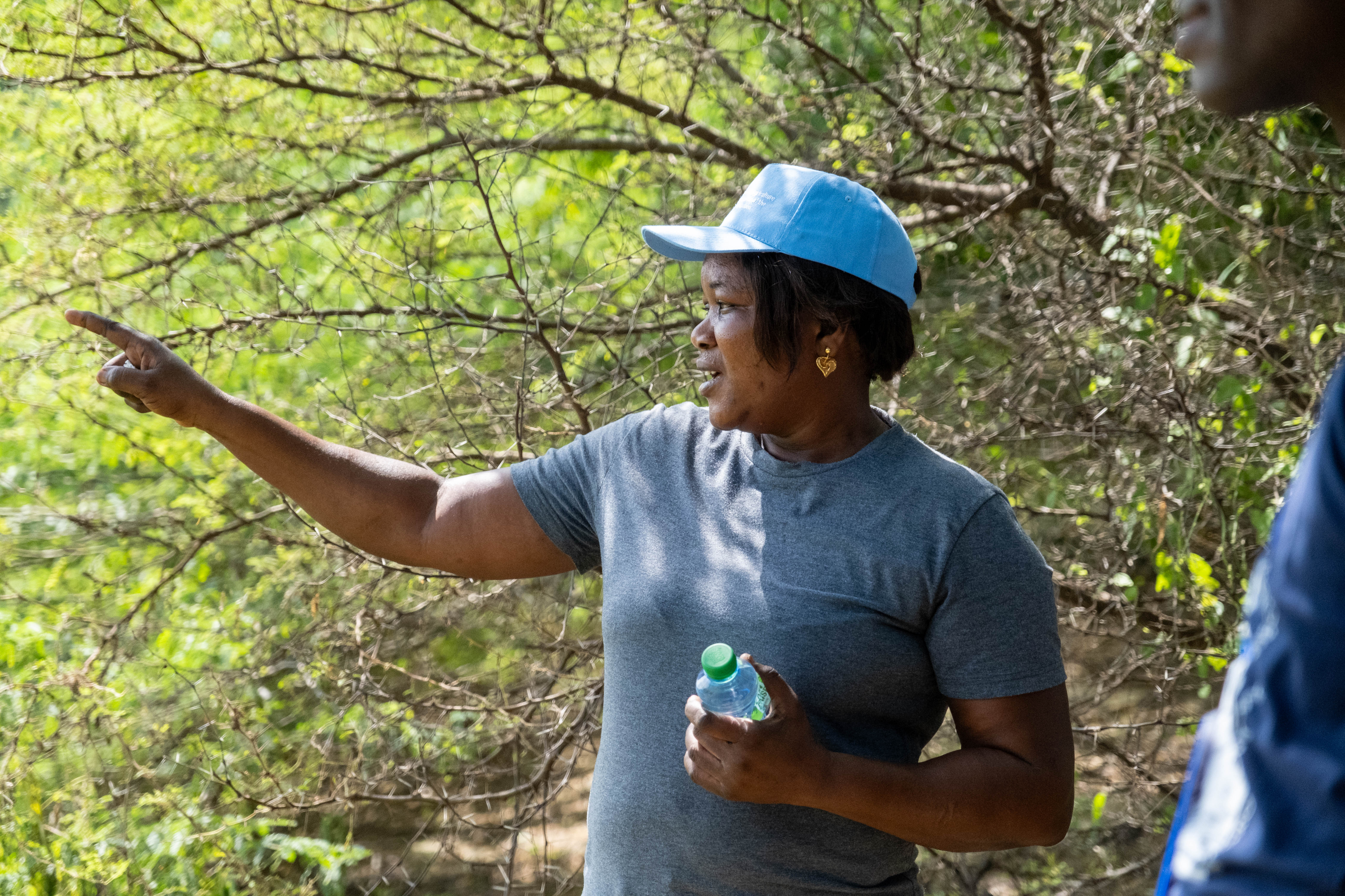 A woman guides a tour through the forest