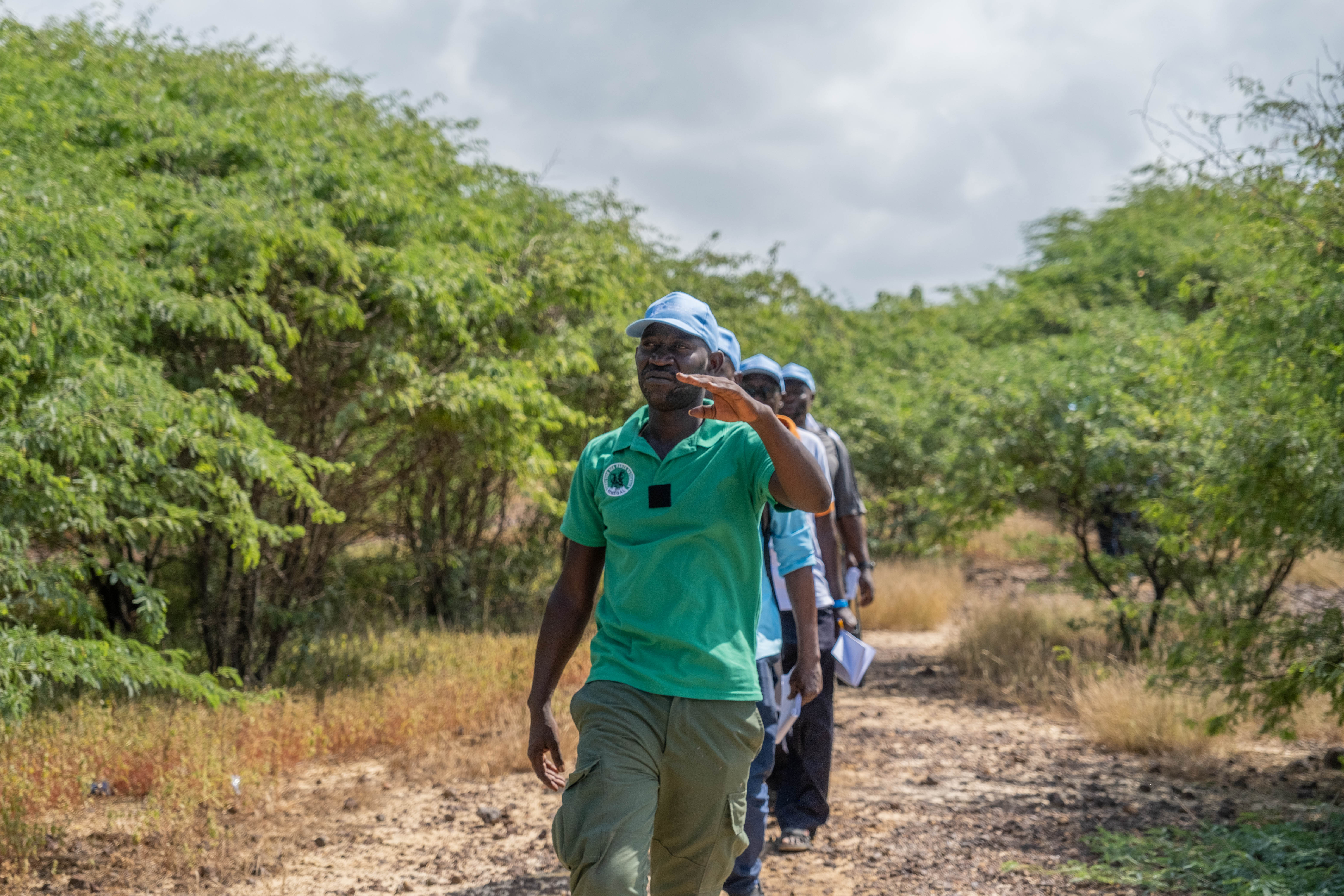 Tour guide walking through the forest with a group